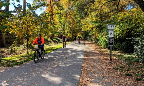 a man on a bicycle outdoors